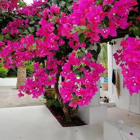 Casa Carlotta-2